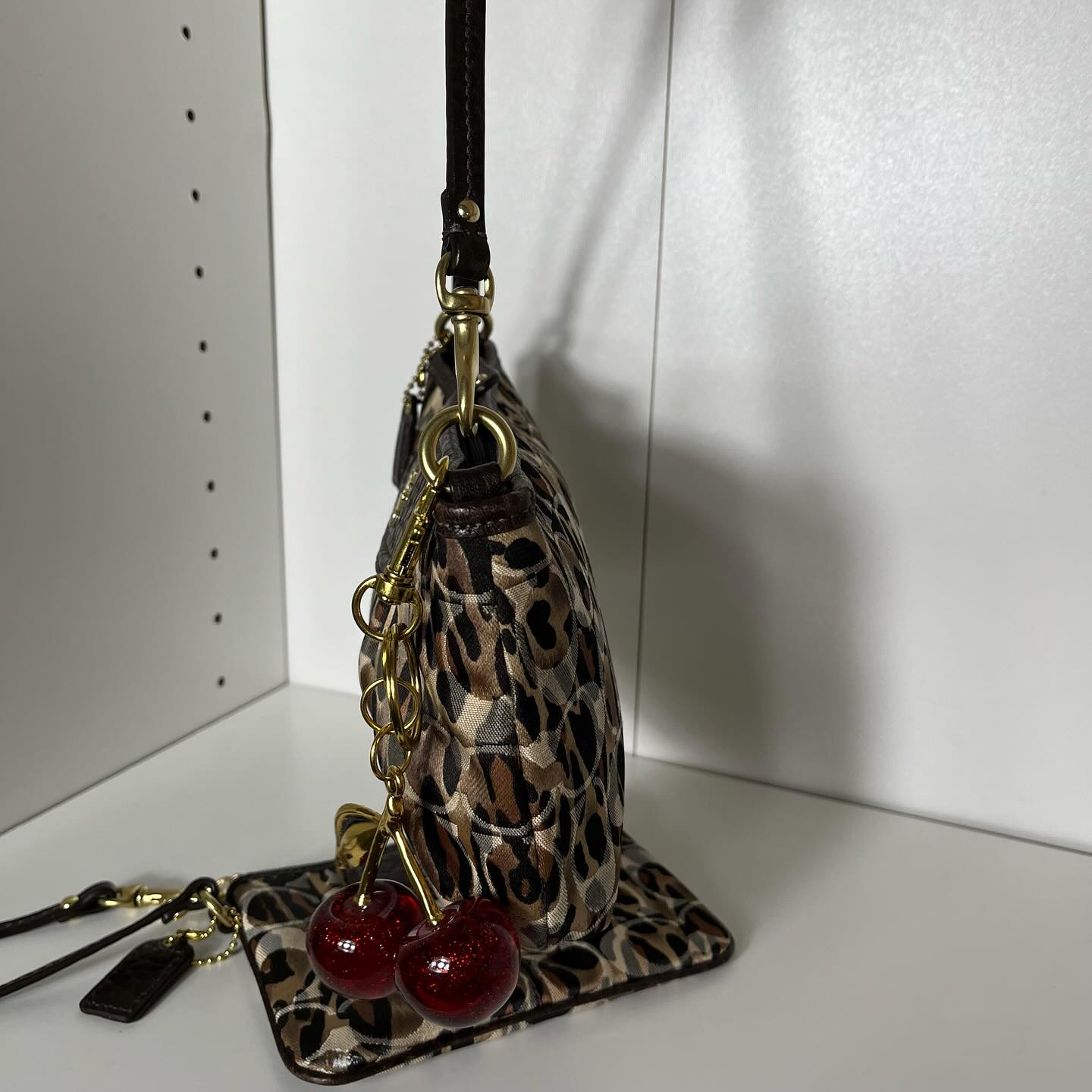 Y2k Coach leopard print mini bag