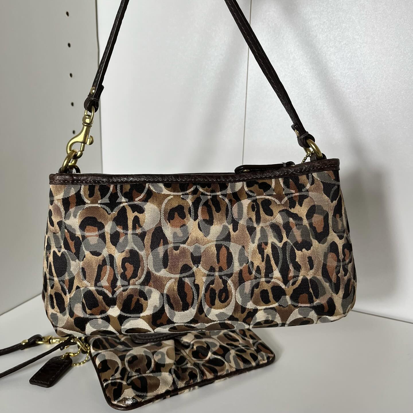 Y2k Coach leopard print mini bag