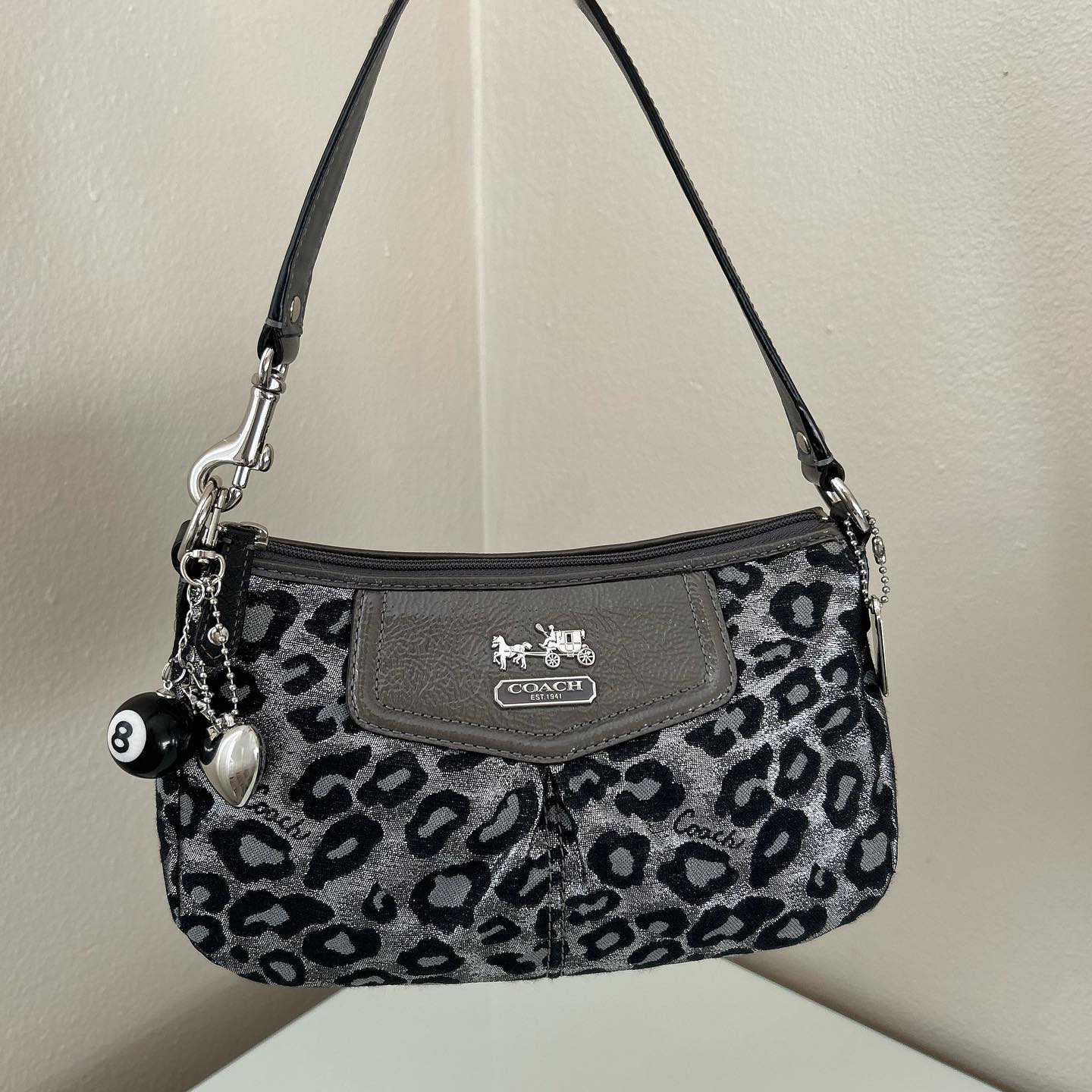 Silver Coach