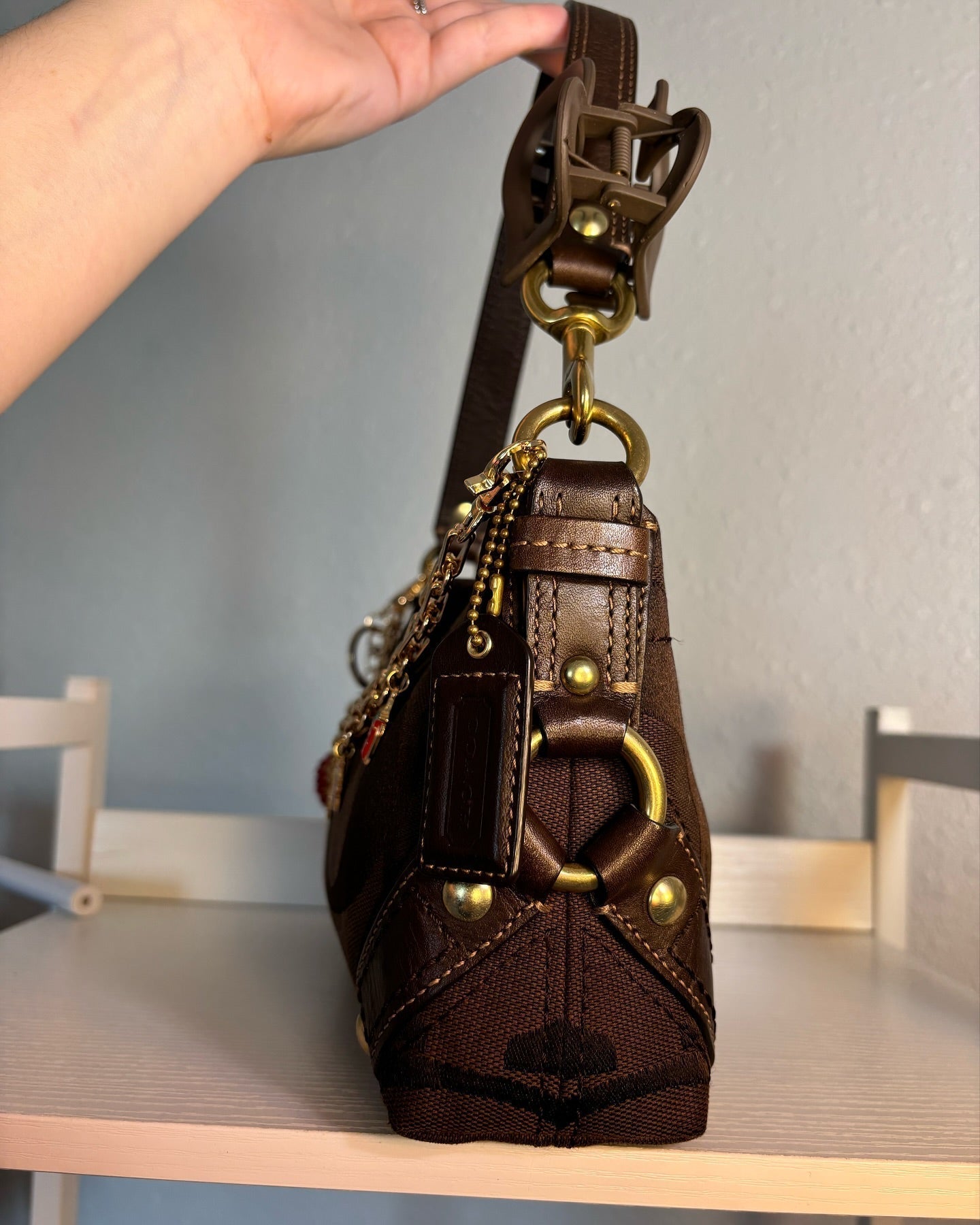 Brown Coach