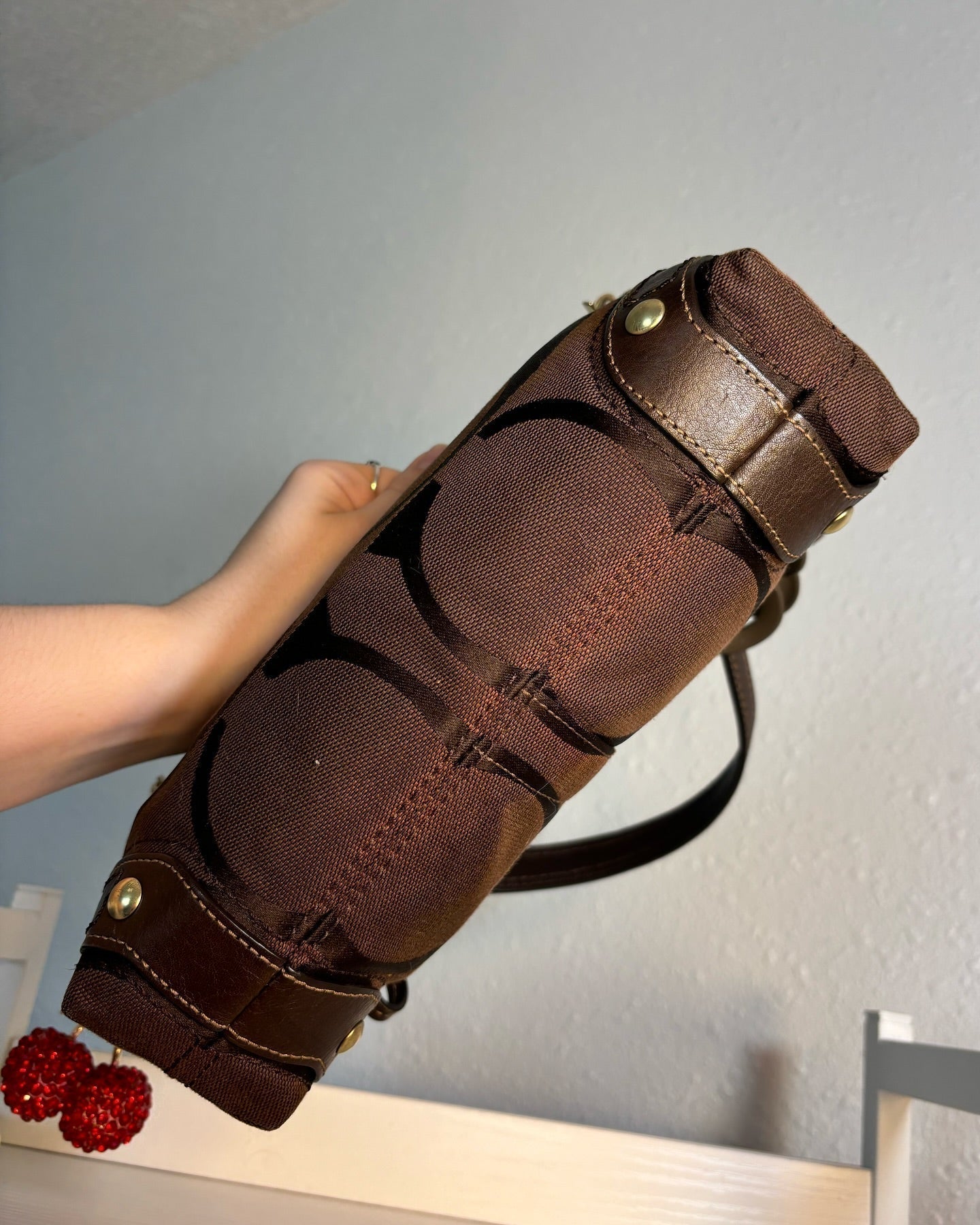 Brown Coach