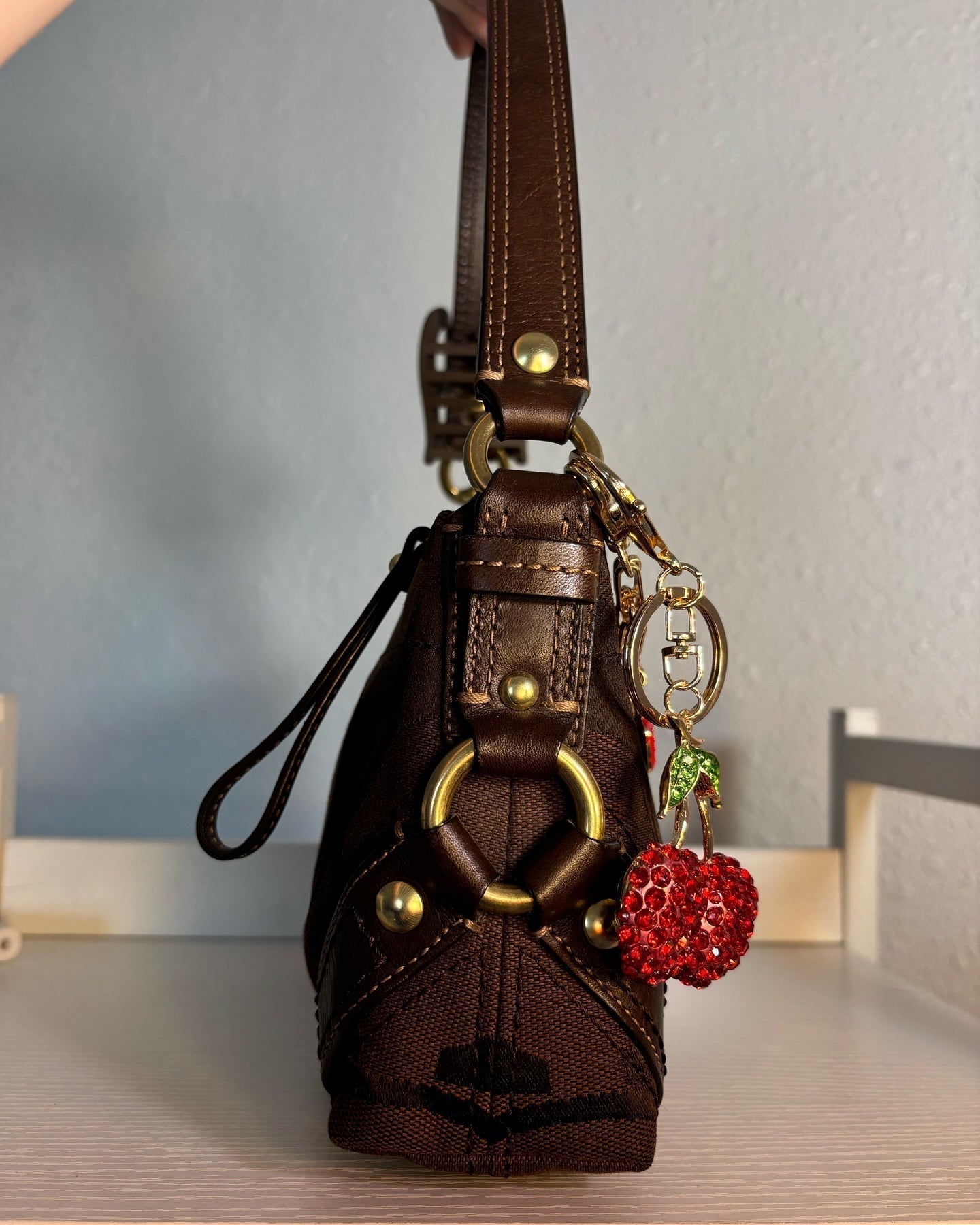 Brown Coach
