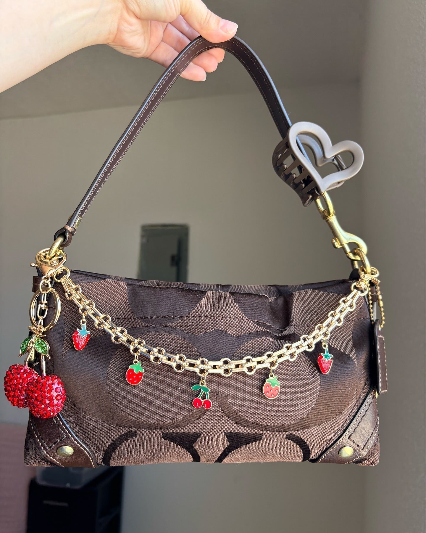 Brown Coach