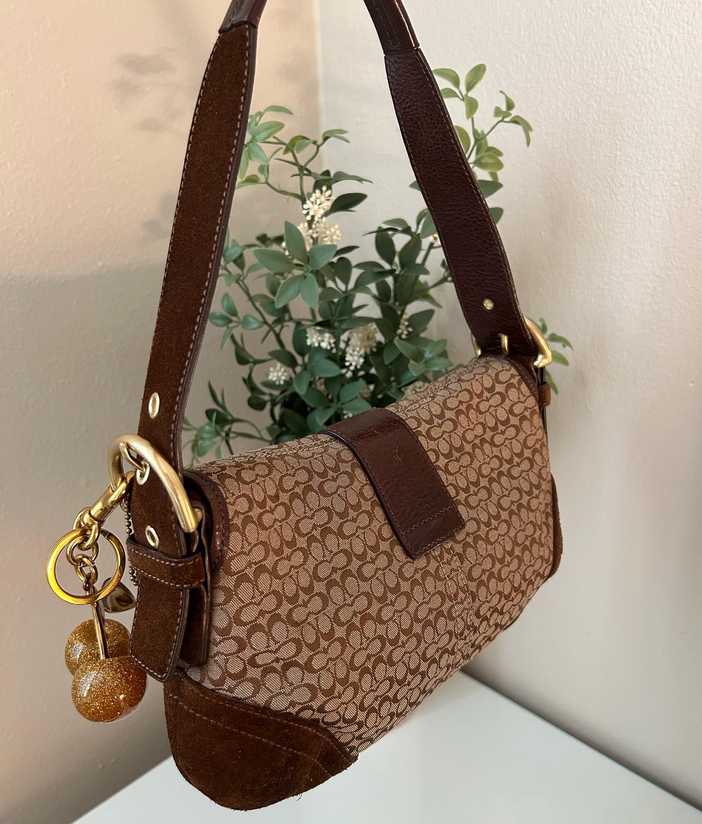 Brown Coach