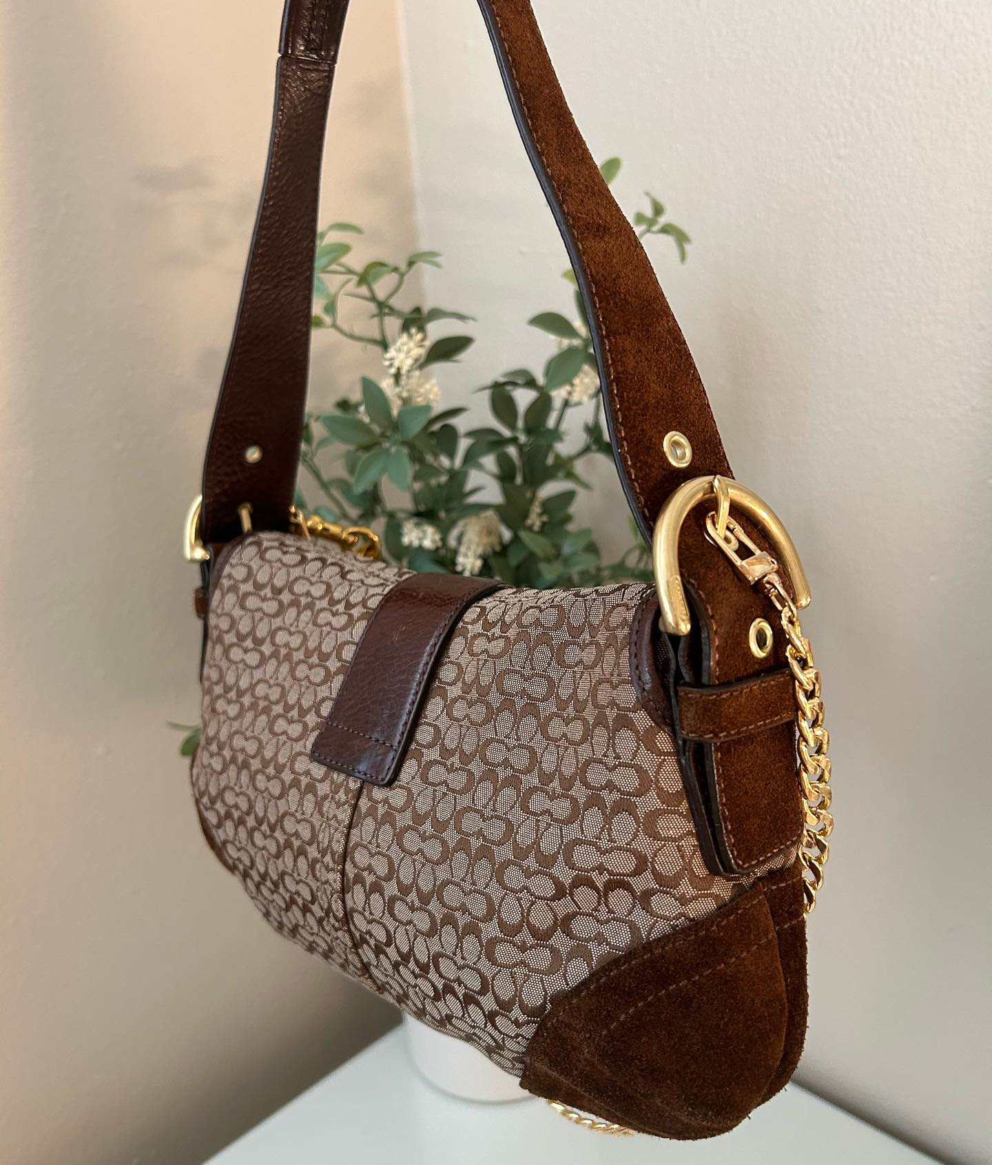 Brown Coach