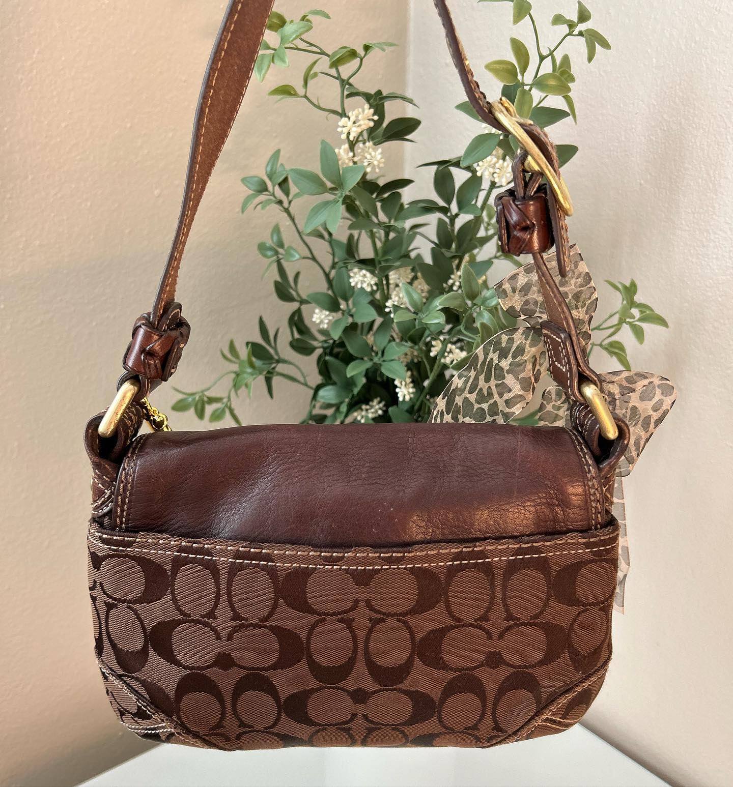 Brown Coach