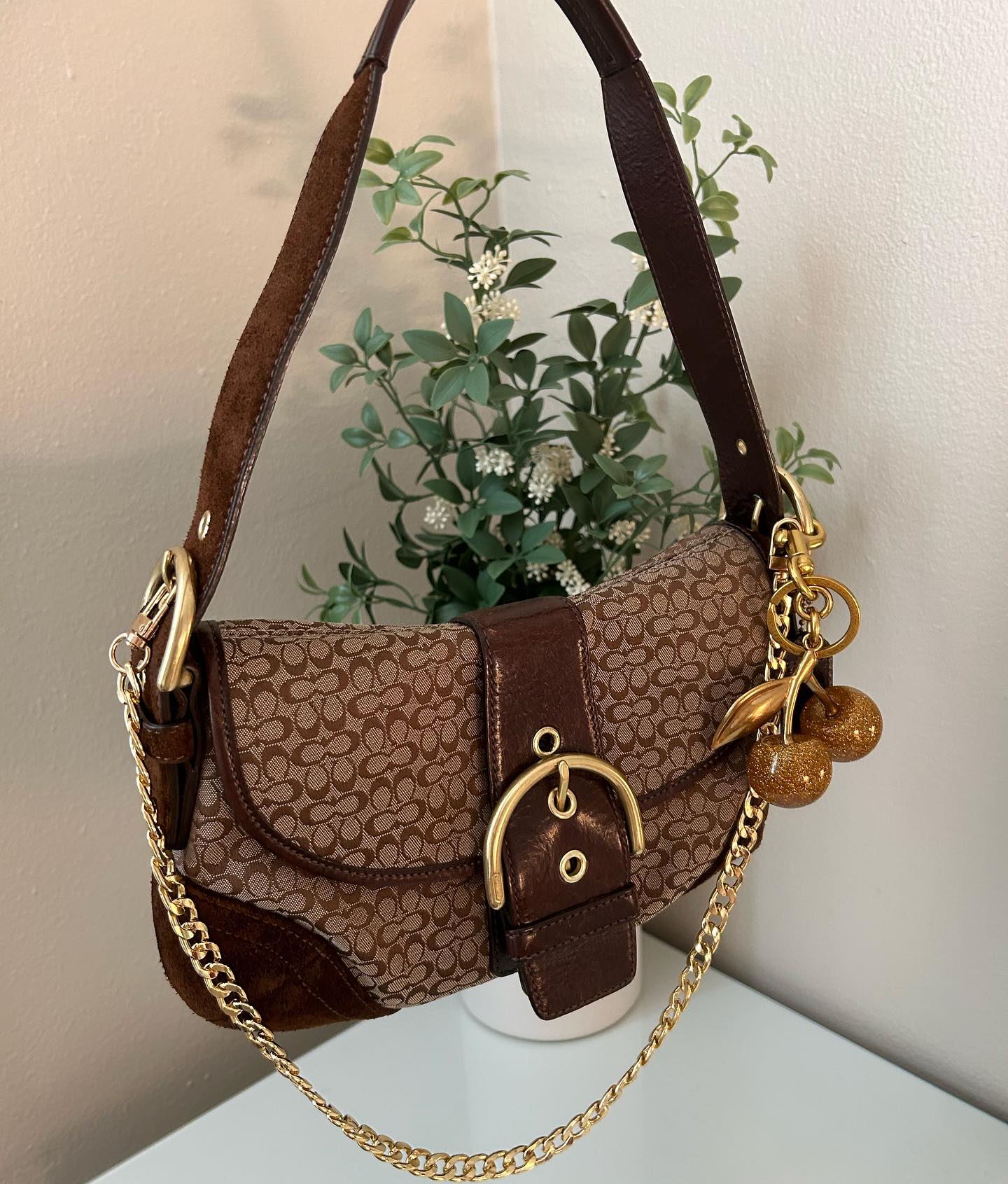 Brown Coach