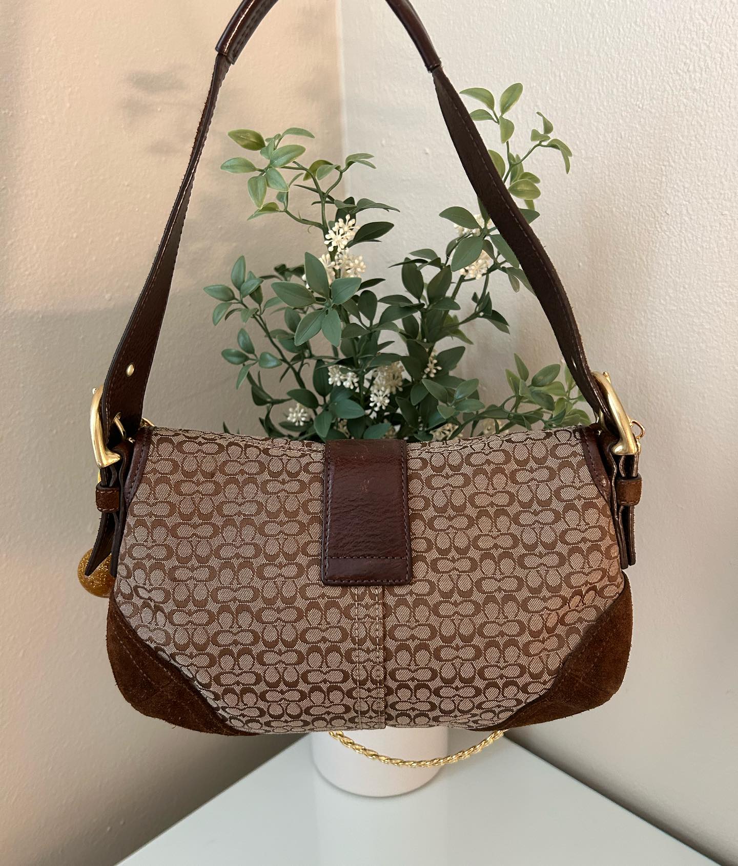 Brown Coach