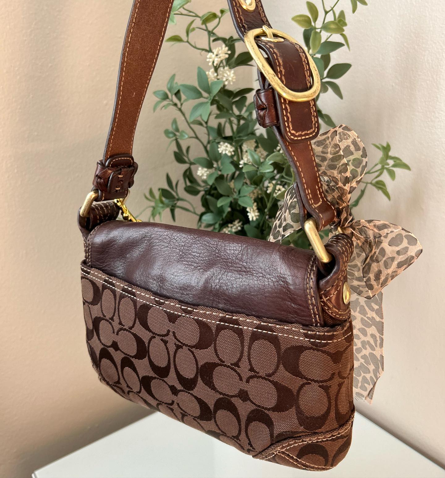 Brown Coach