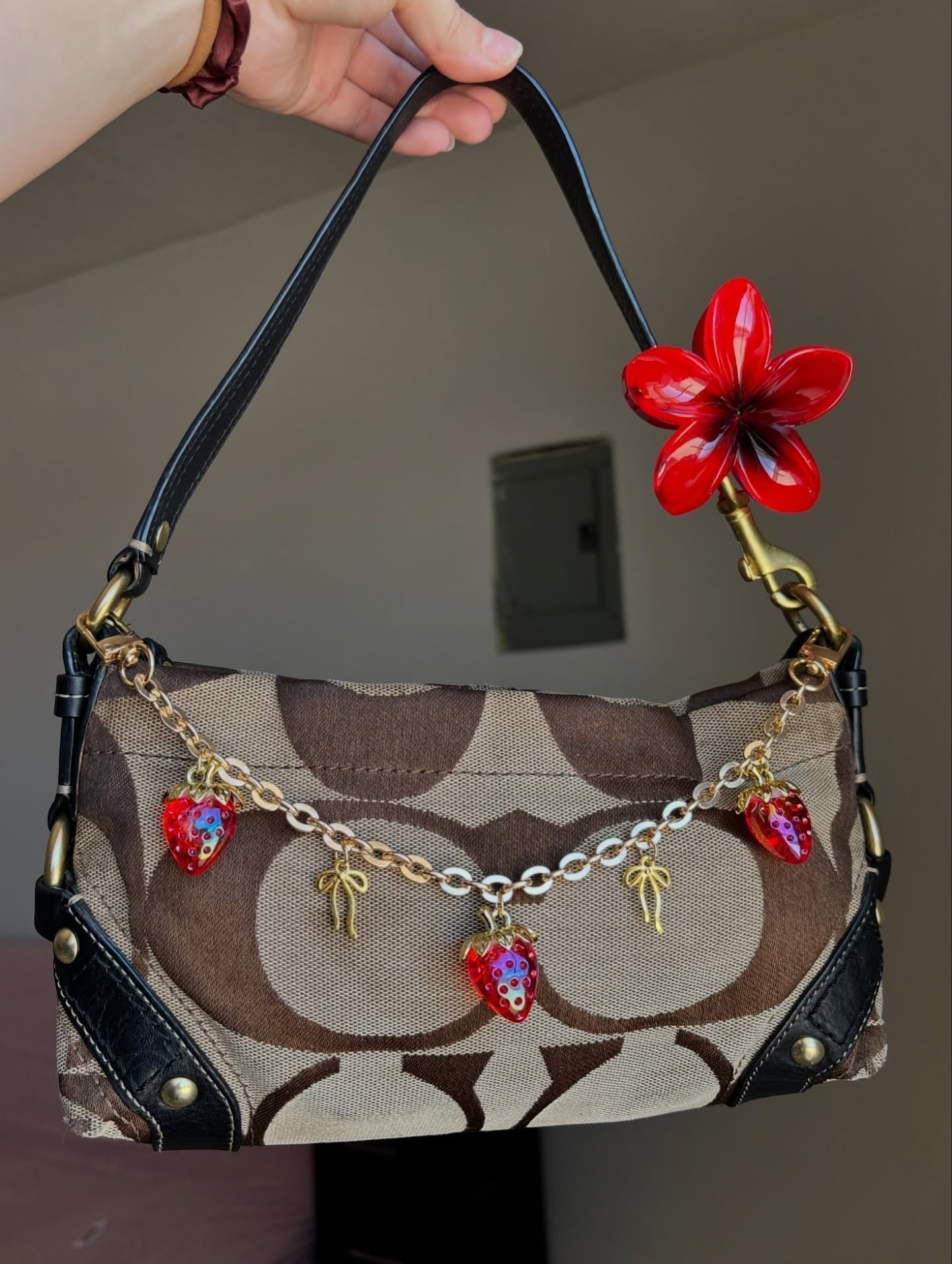 Brown Coach