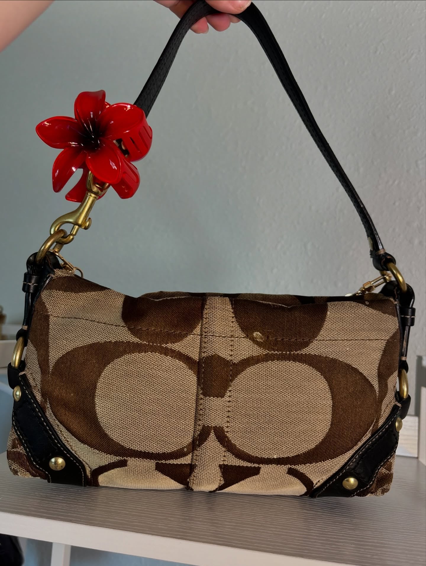 Brown Coach