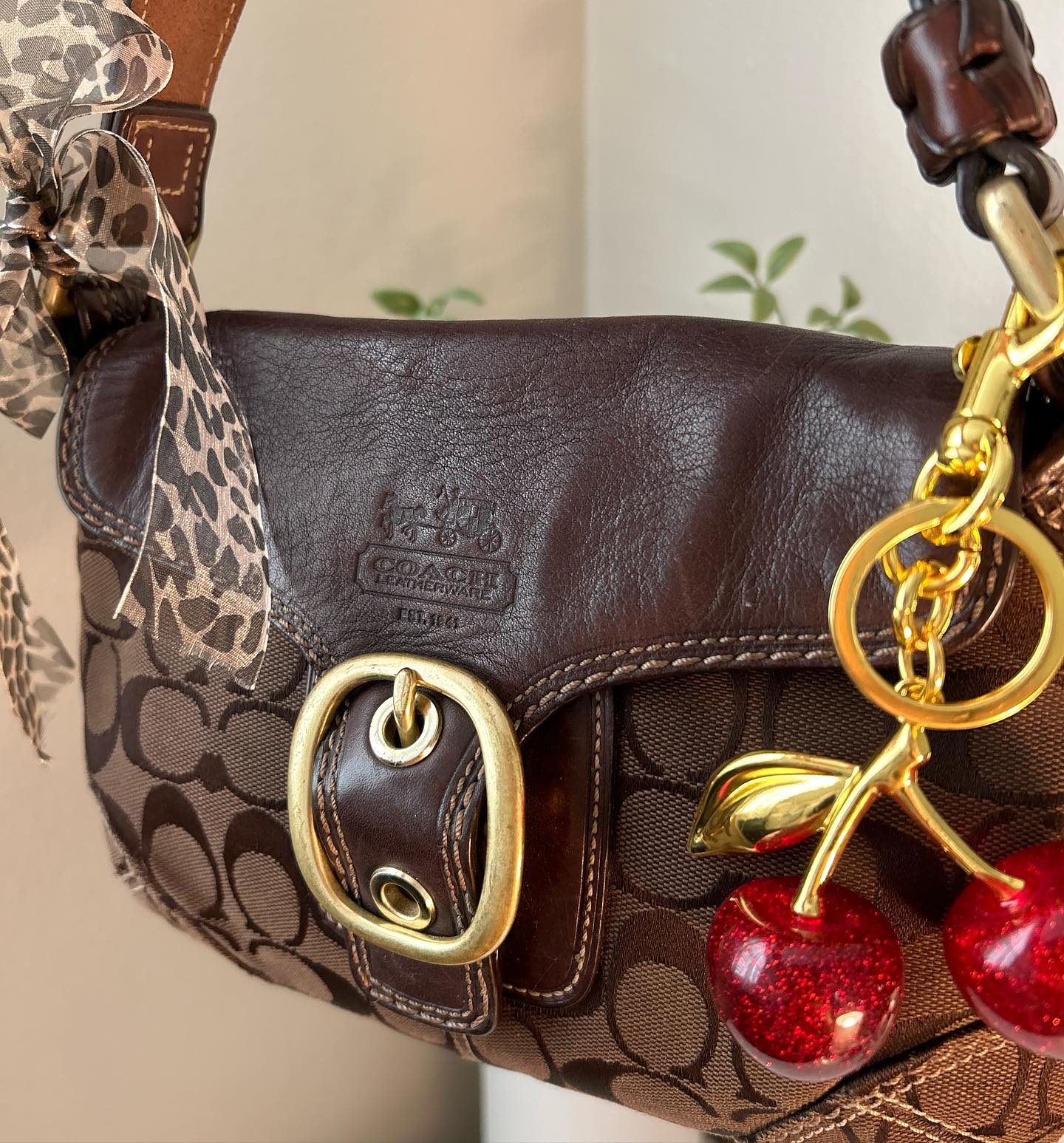 Brown Coach