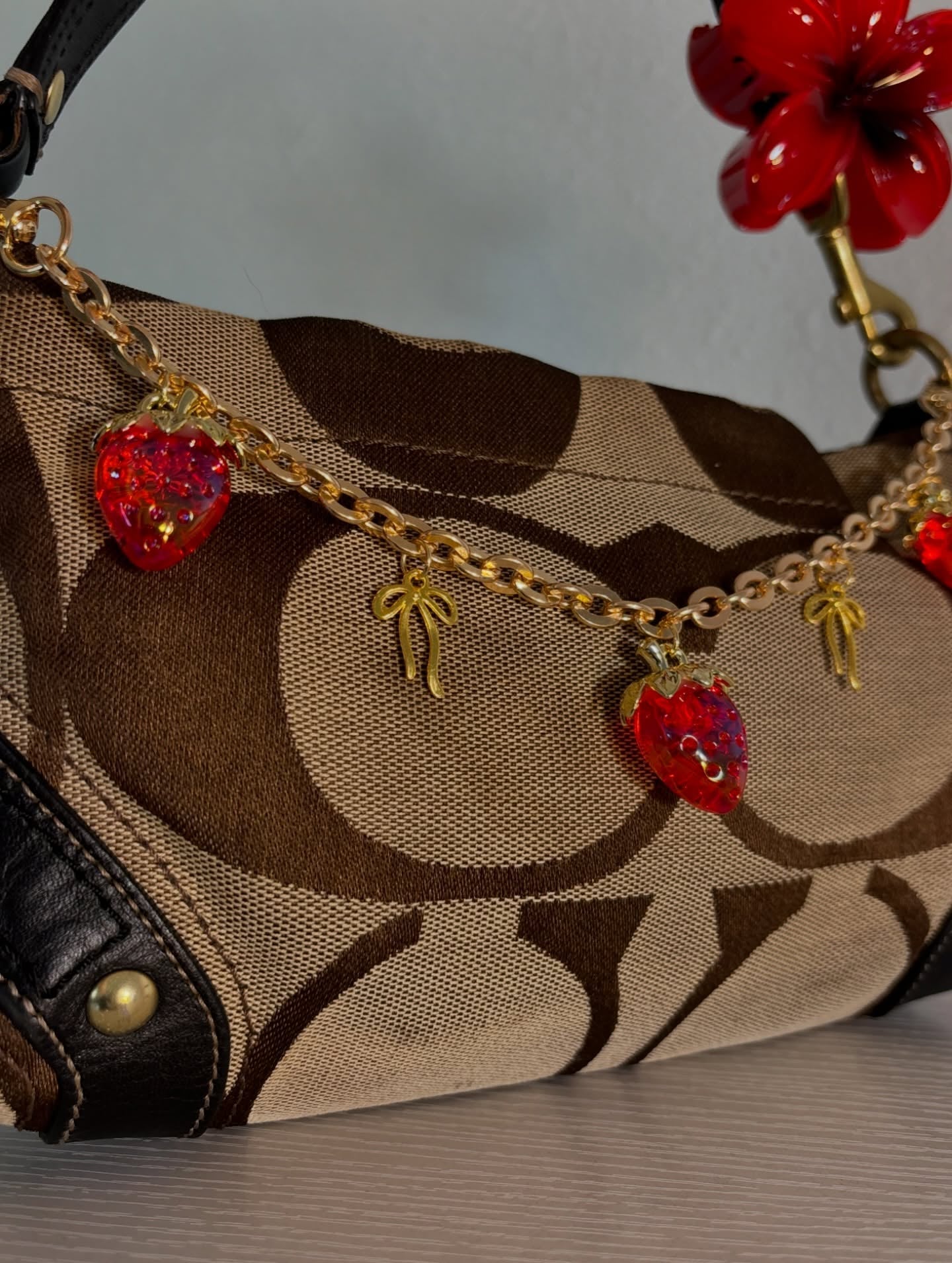 Brown Coach