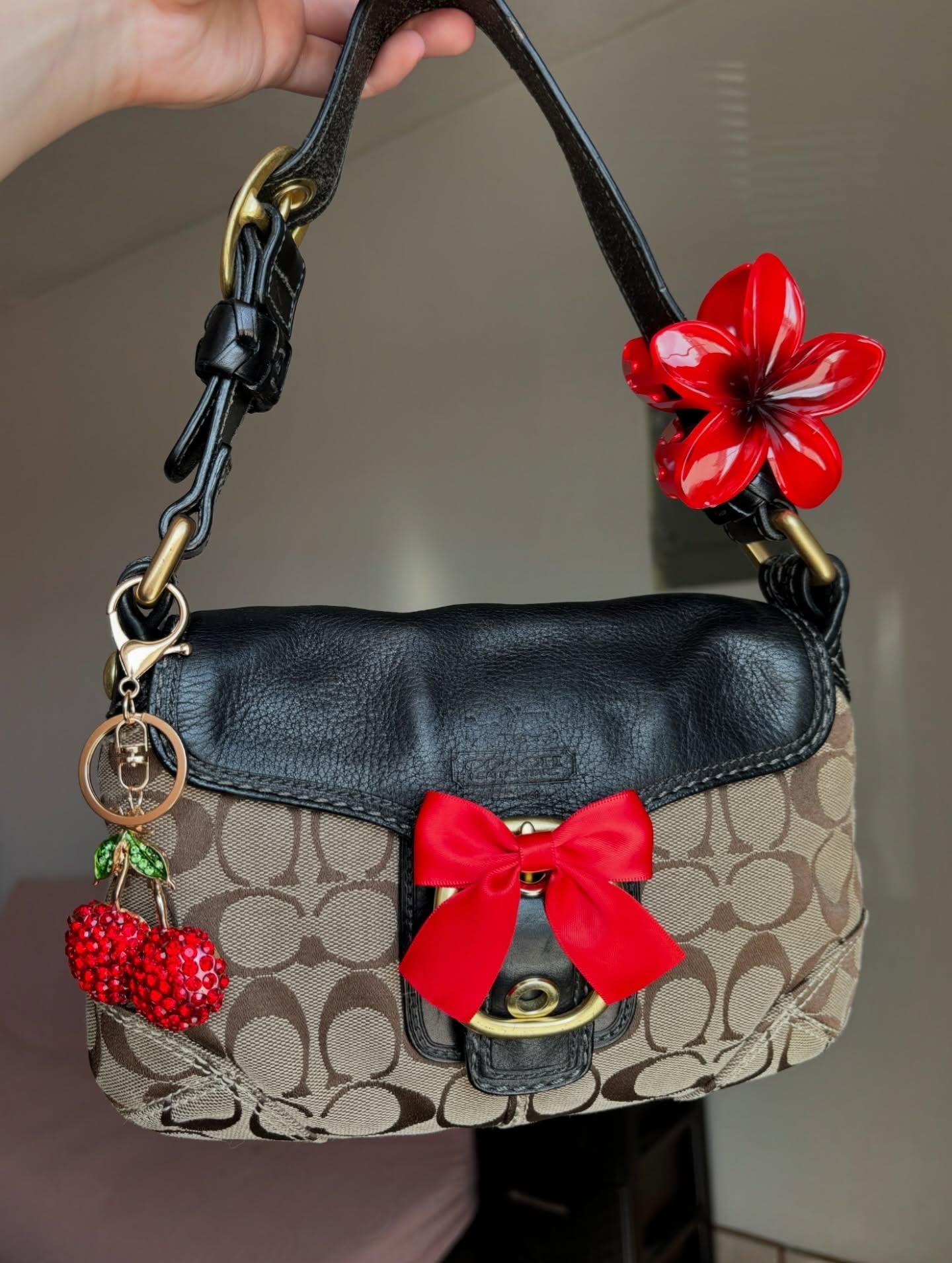 Black & Brown Coach