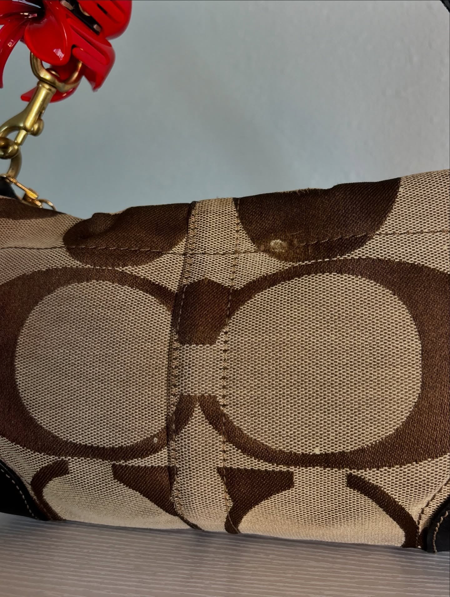 Brown Coach