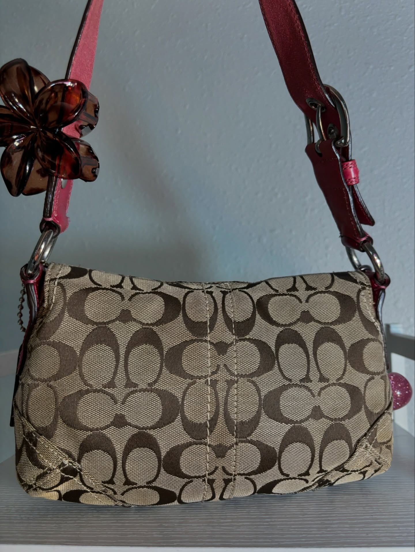 Pink Coach