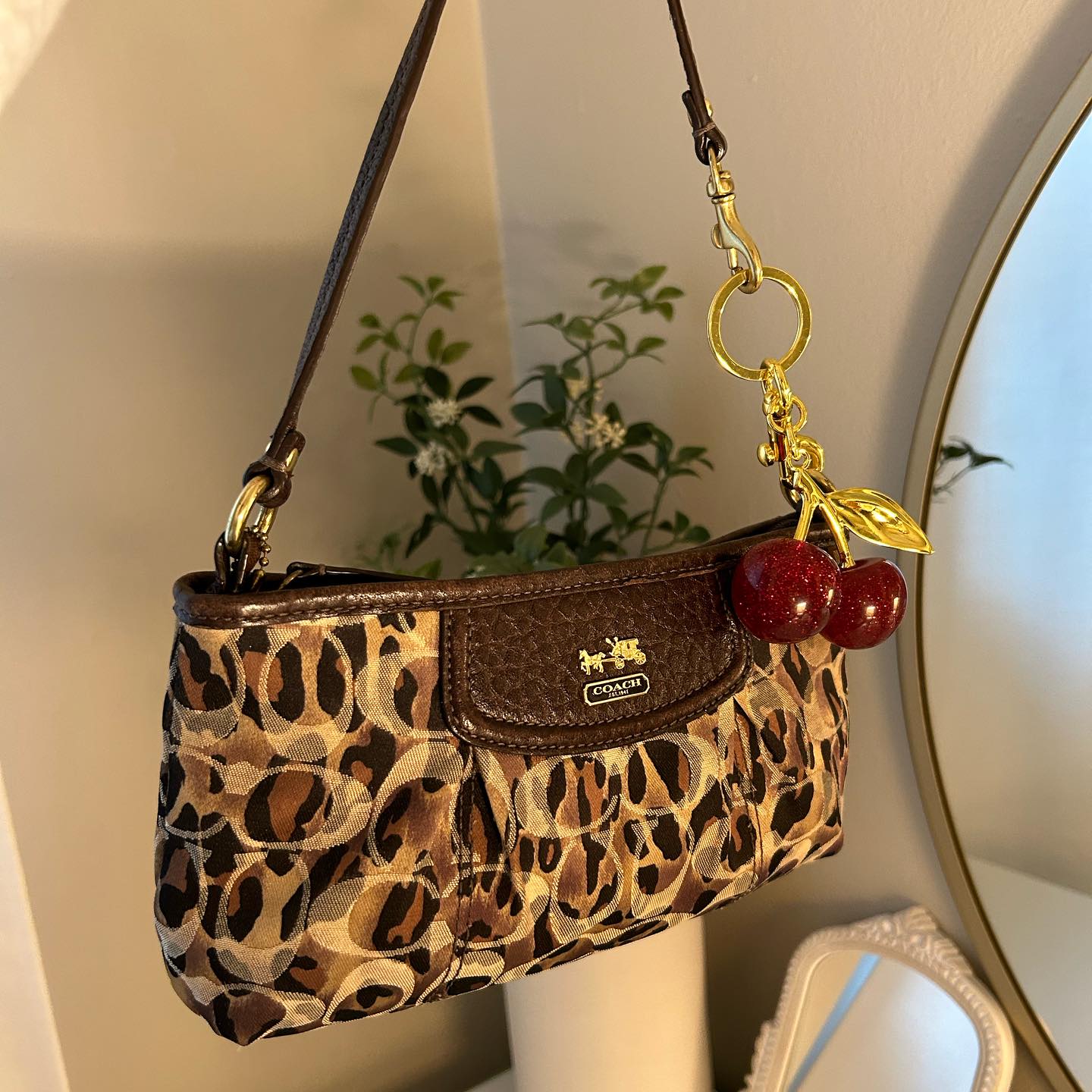Leopard Print Bag