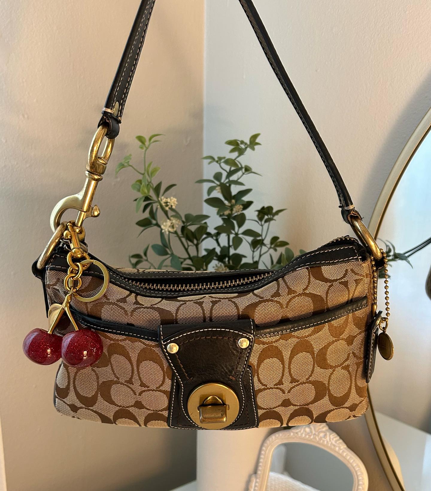 Tan Bag