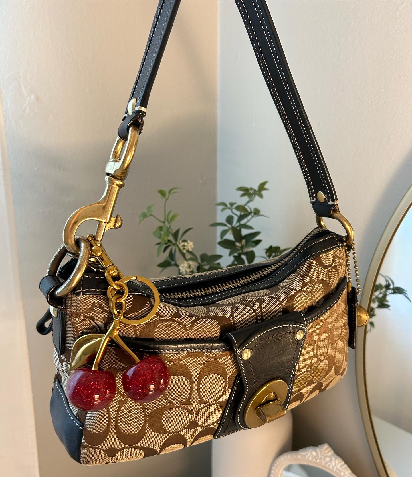 Tan Bag
