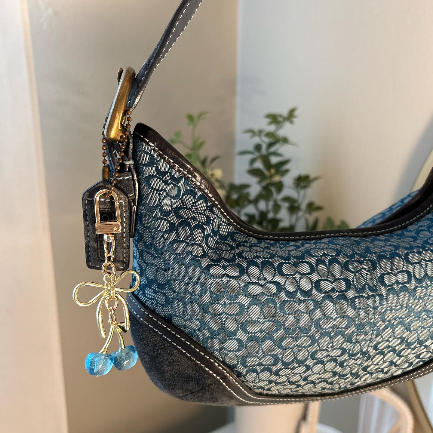 Blue Bag