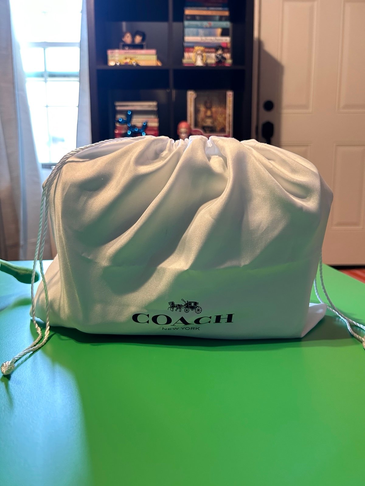 Coach Green Jelly Tabby