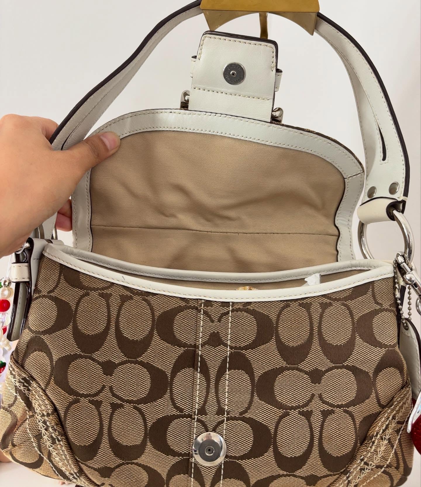 Tan Bag