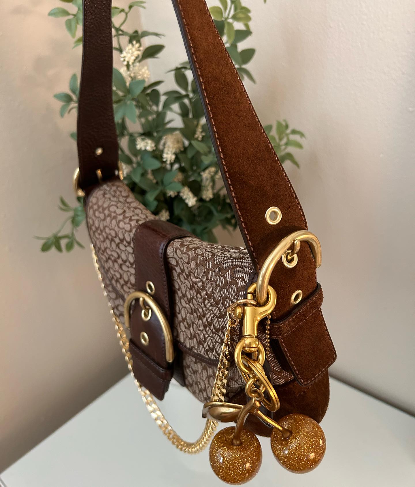 Brown Coach