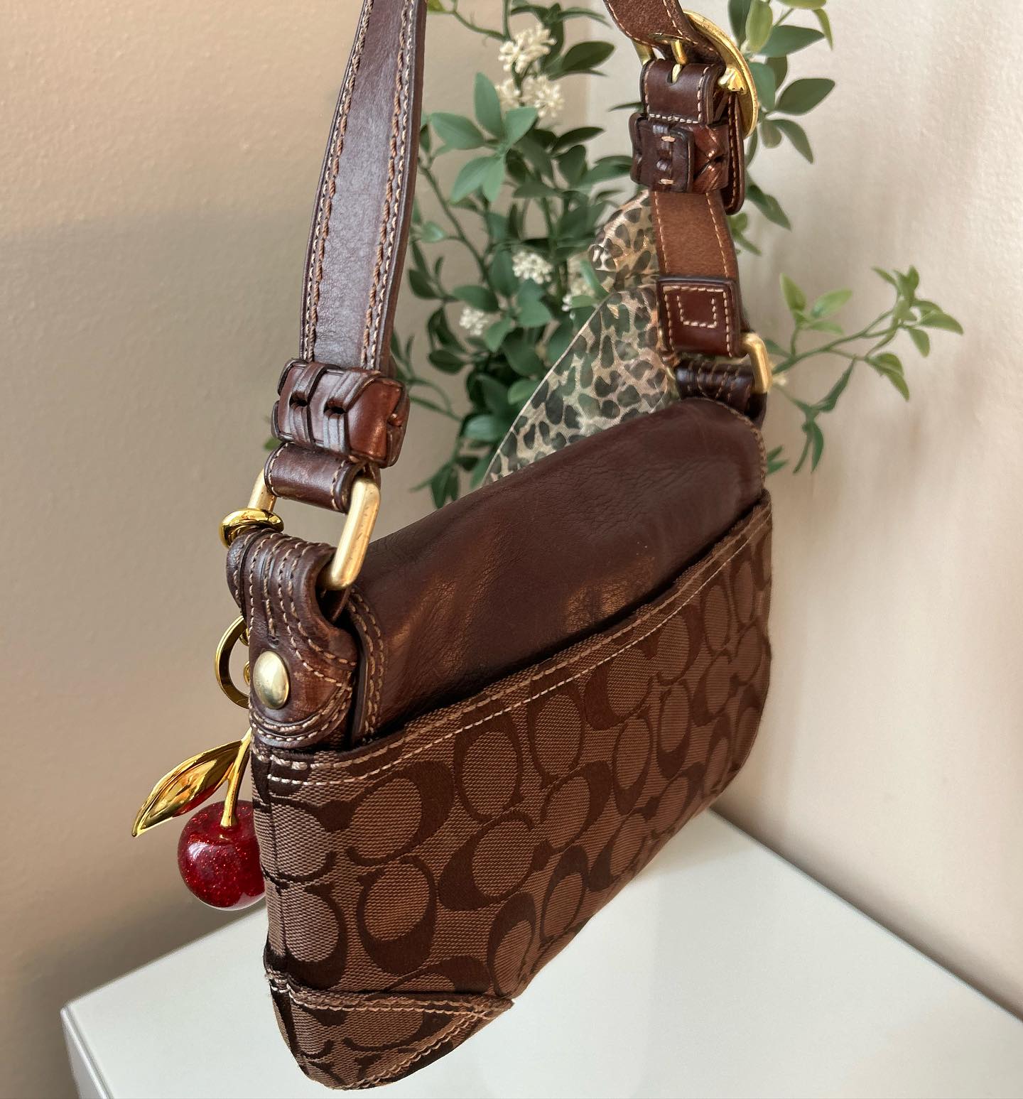 Brown Coach