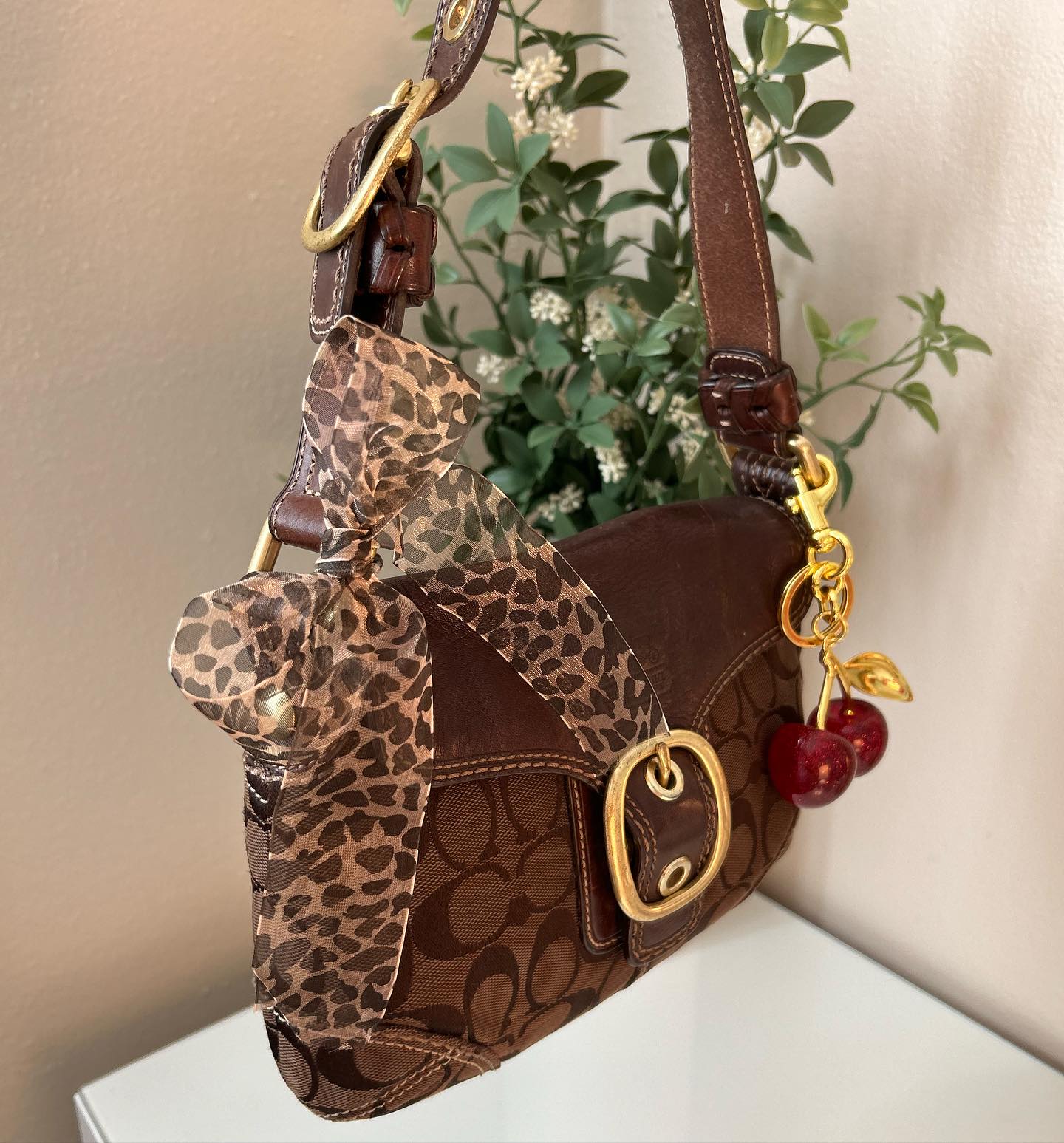 Brown Coach