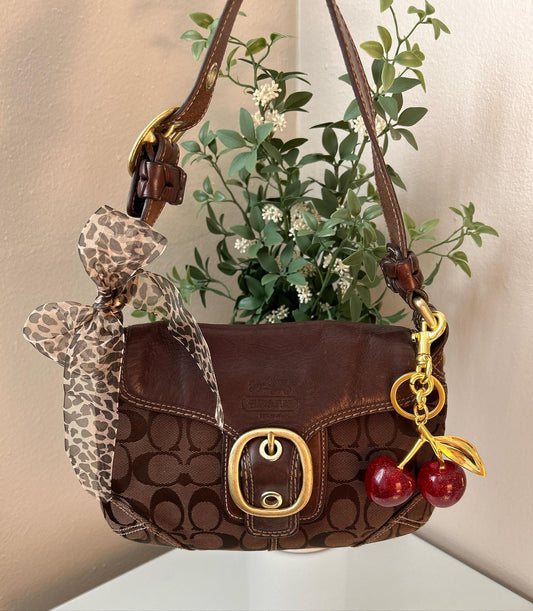 Brown Coach