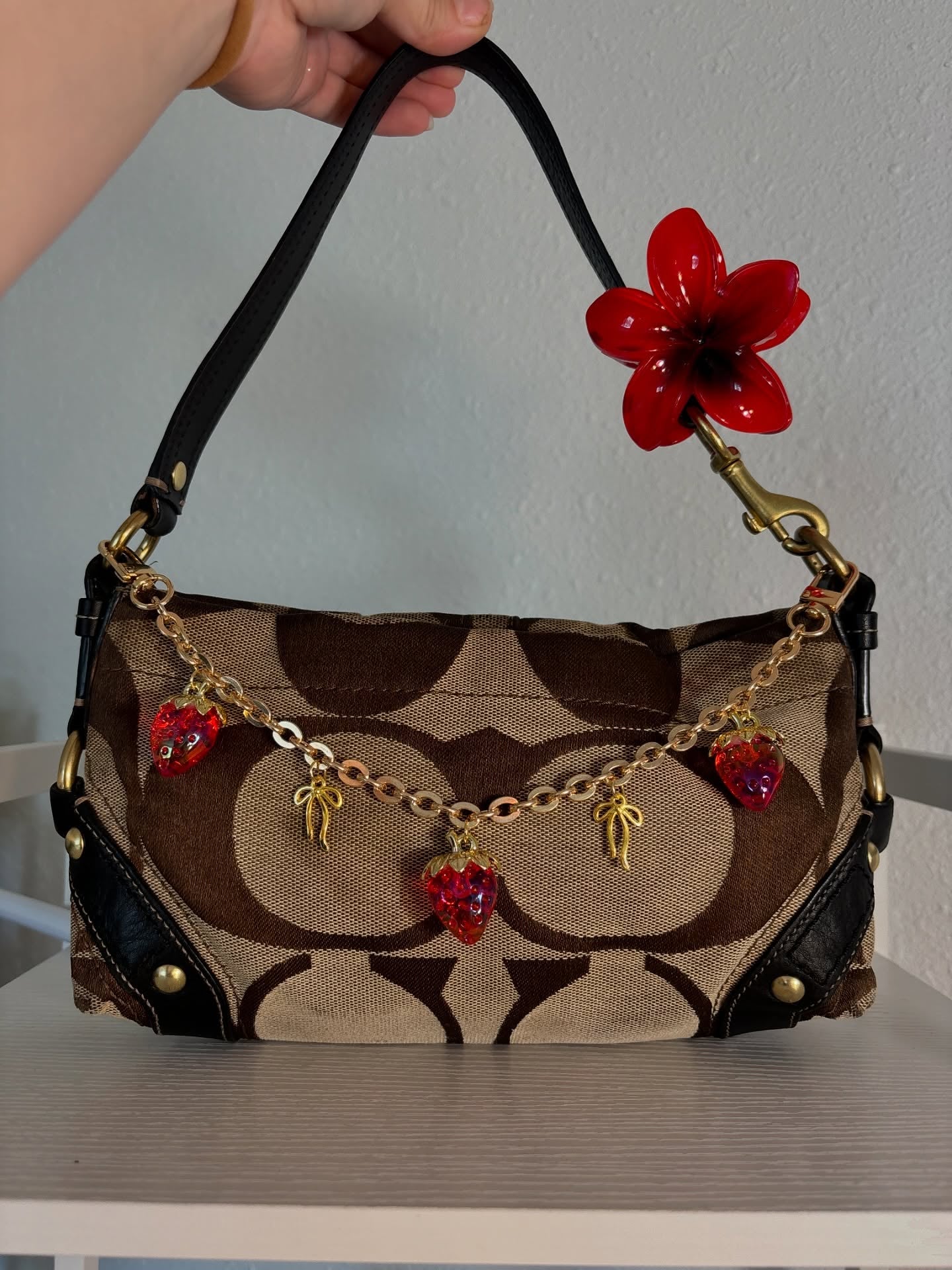 Brown Coach