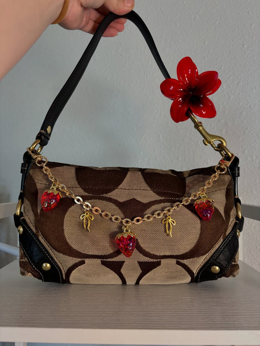 Brown Coach