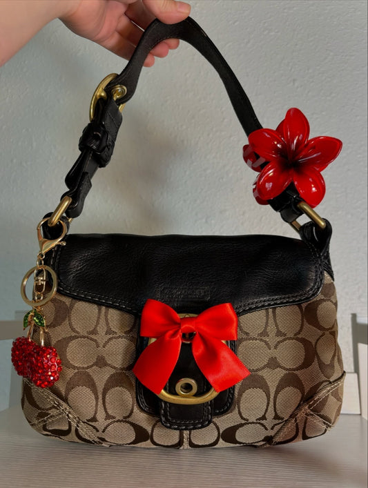 Black & Brown Coach