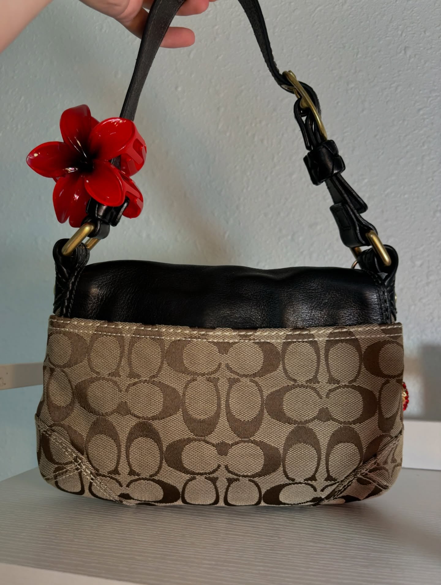 Black & Brown Coach