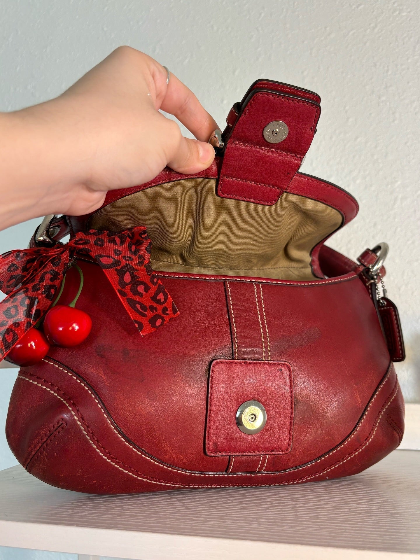 Coach Mini