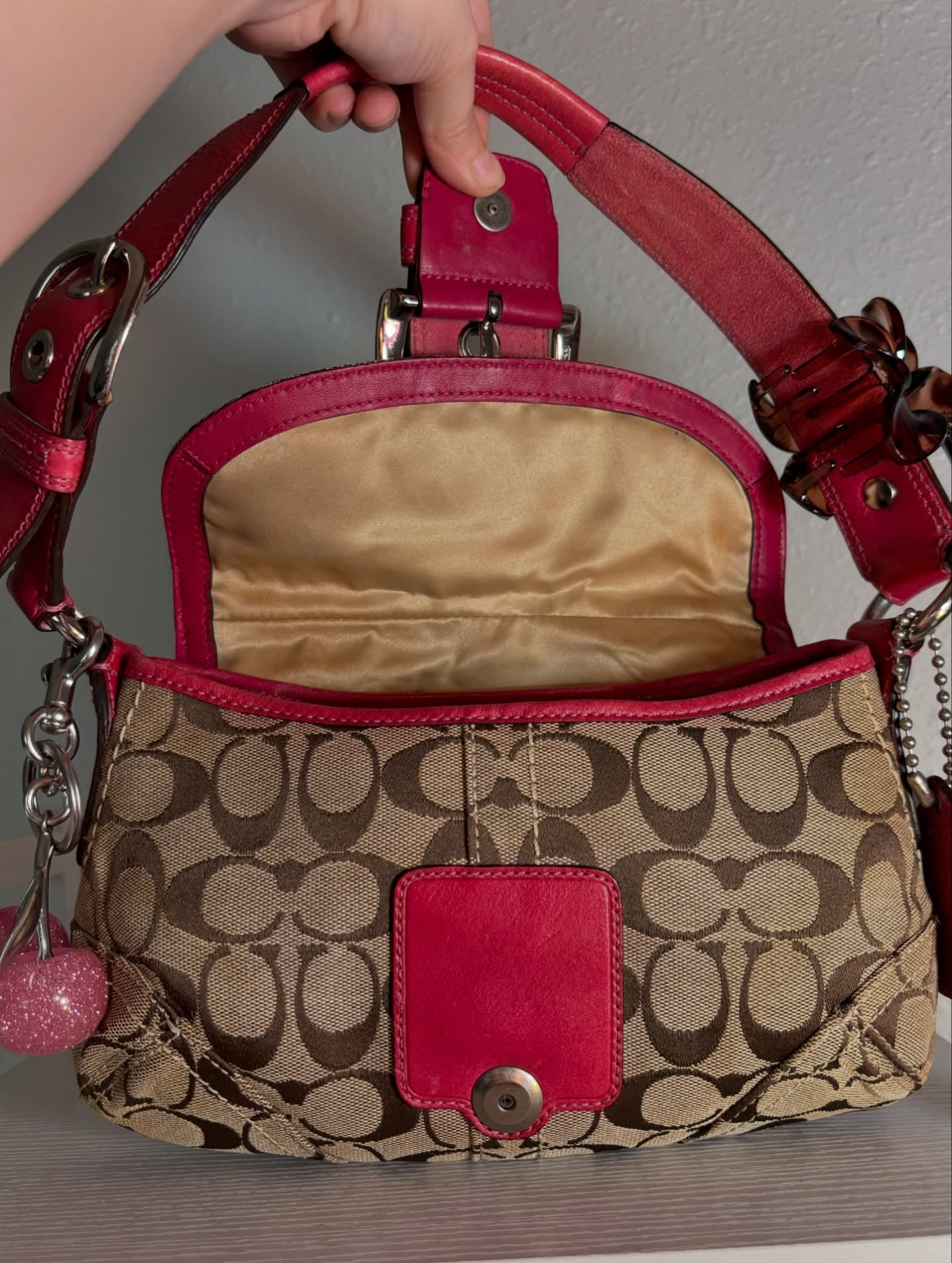 Pink Coach
