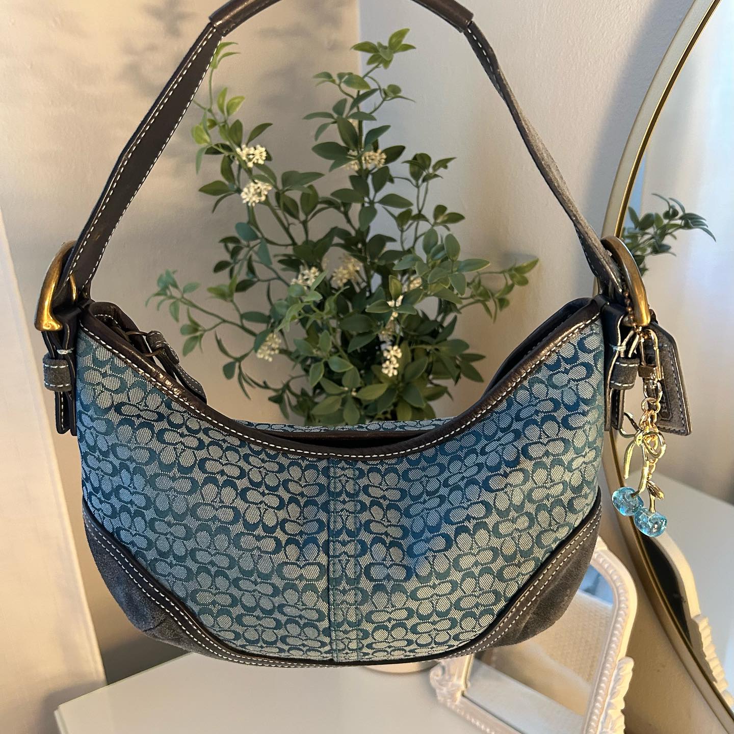 Blue Bag