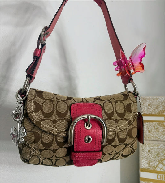 Vintage Coach