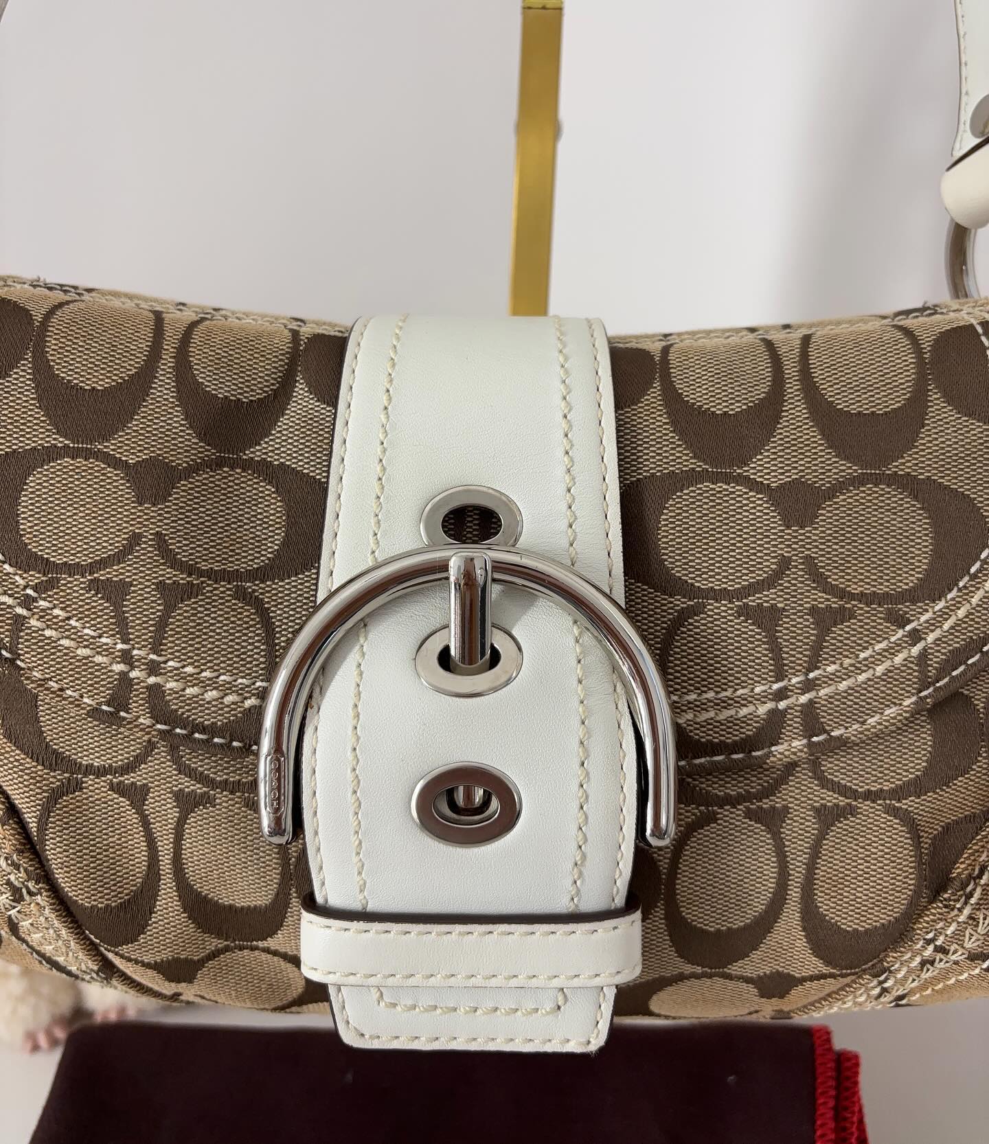 Tan Bag